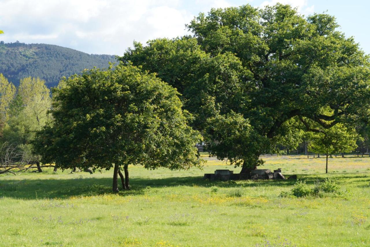Quinta Do Areal Lejlighed Lousã Eksteriør billede
